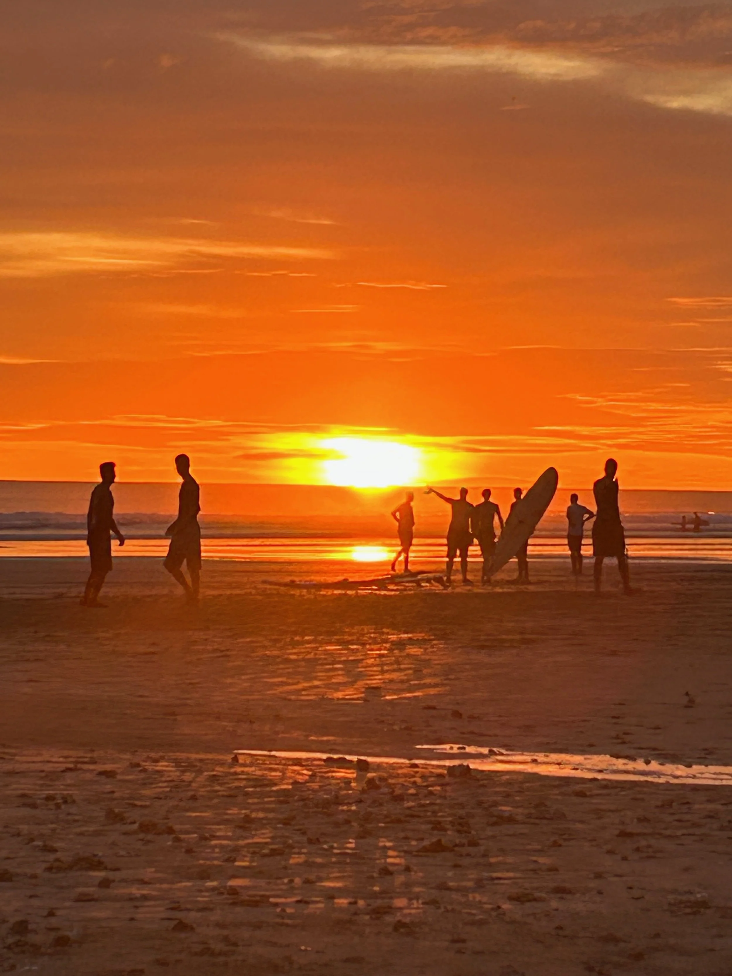 Anthony Coleman Trio