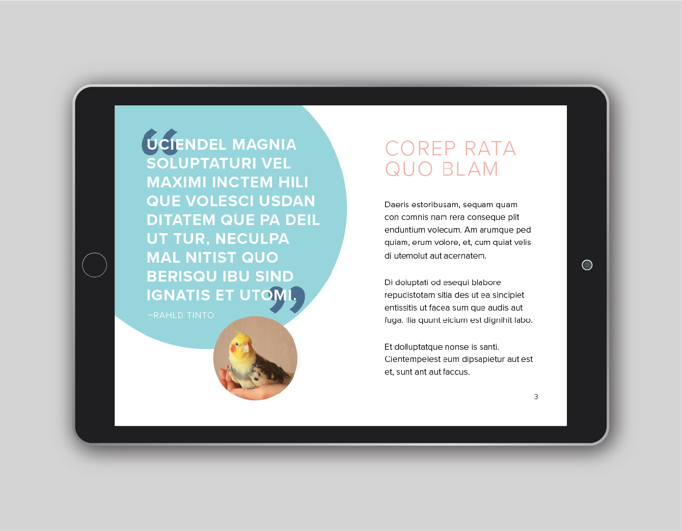 eBook_mockup-03.jpg