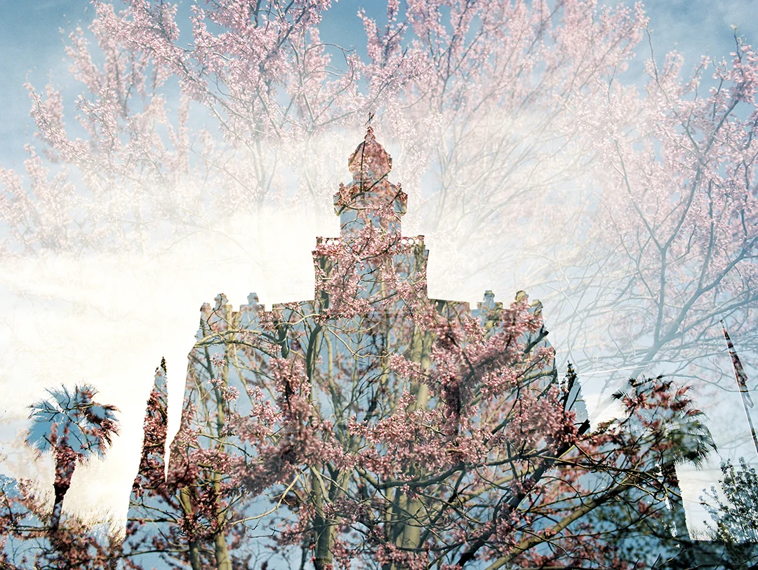 Saint George LDS Temple + Spring Blooms