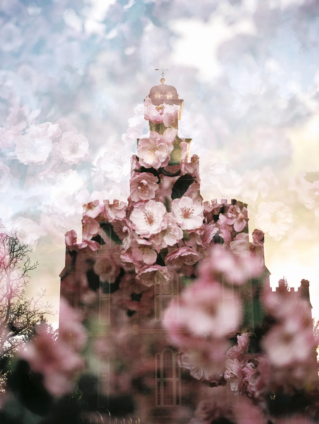 Logan LDS Temple + Crab Apple Blooms
