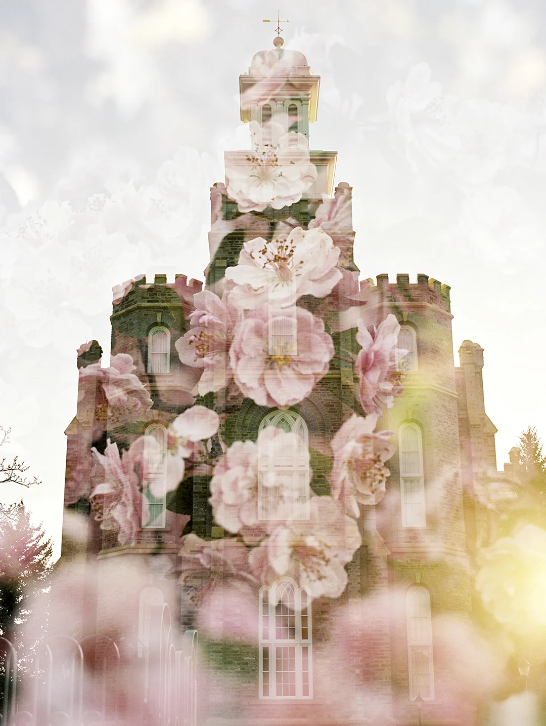 Logan LDS Temple + Crab Apple Blossoms