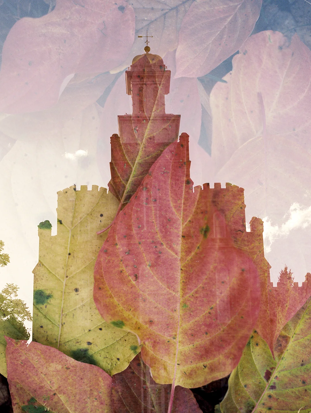 Logan LDS Temple + Fall