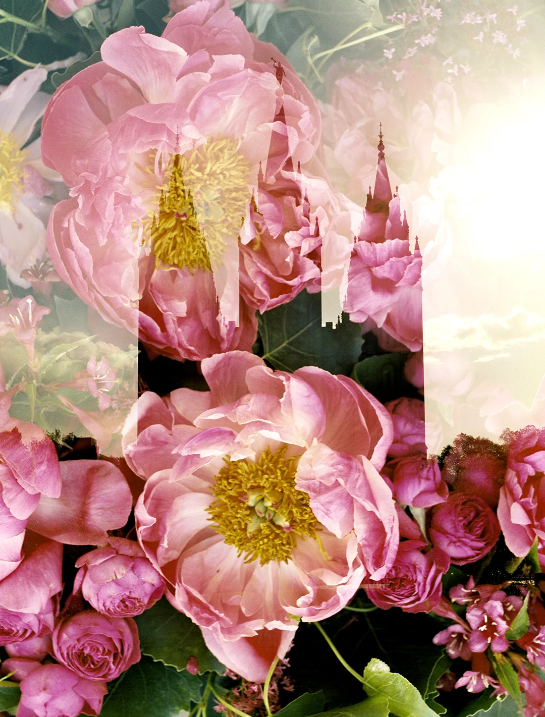 Salt Lake LDS Temple + Coral Charm Peony 5
