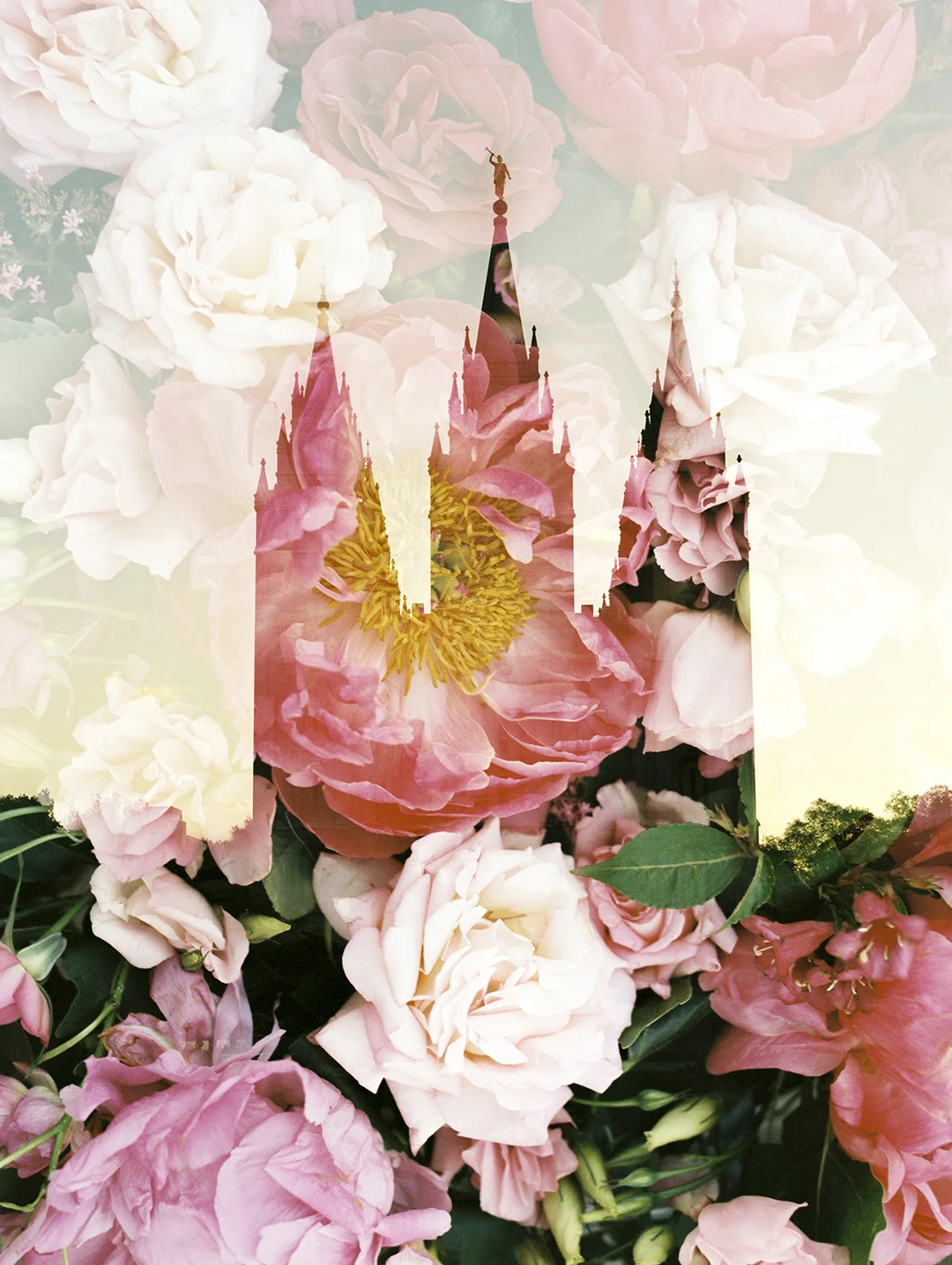 Salt Lake LDS Temple + Coral Charm Peony 6