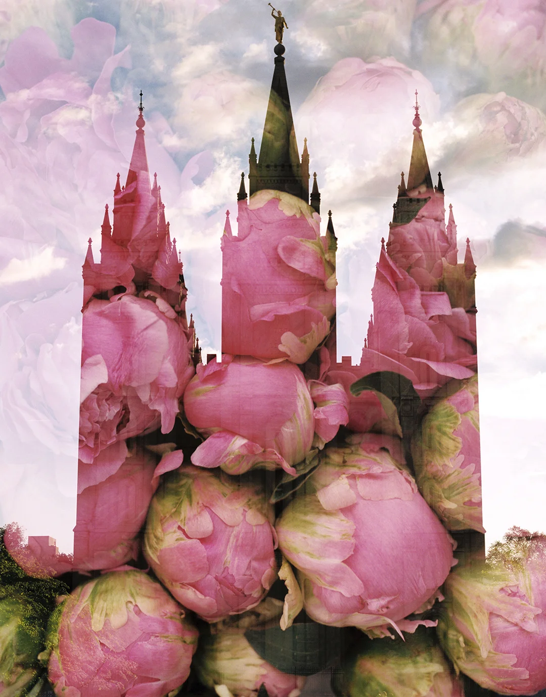 Salt Lake LDS Temple + Dark Pink Peonies 2
