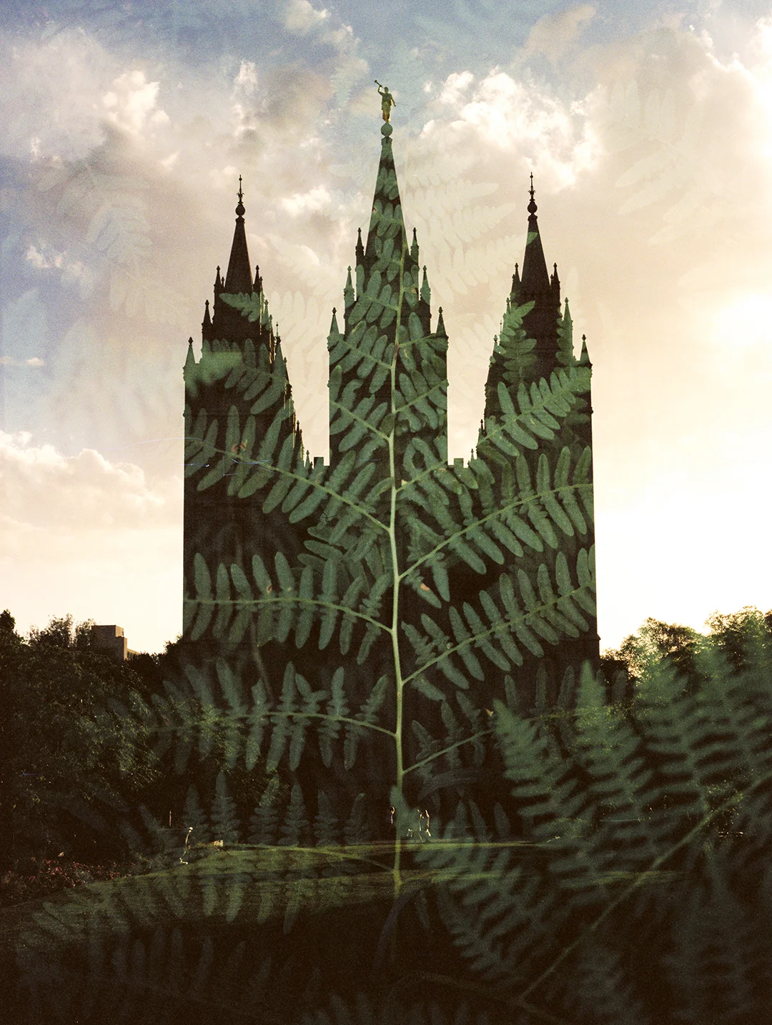 Salt Lake LDS Temple + Ferns