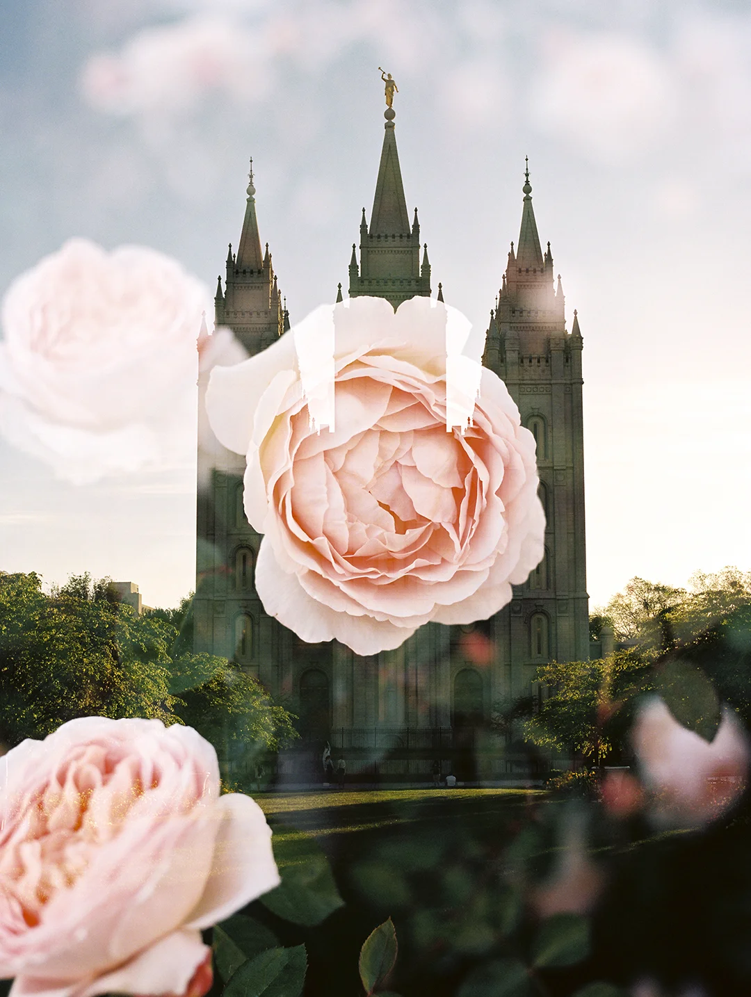 Salt Lake LDS Temple + Garden Rose