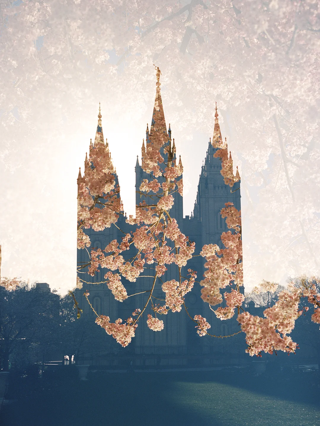 Salt Lake LDS Temple + Spring Blooms 3