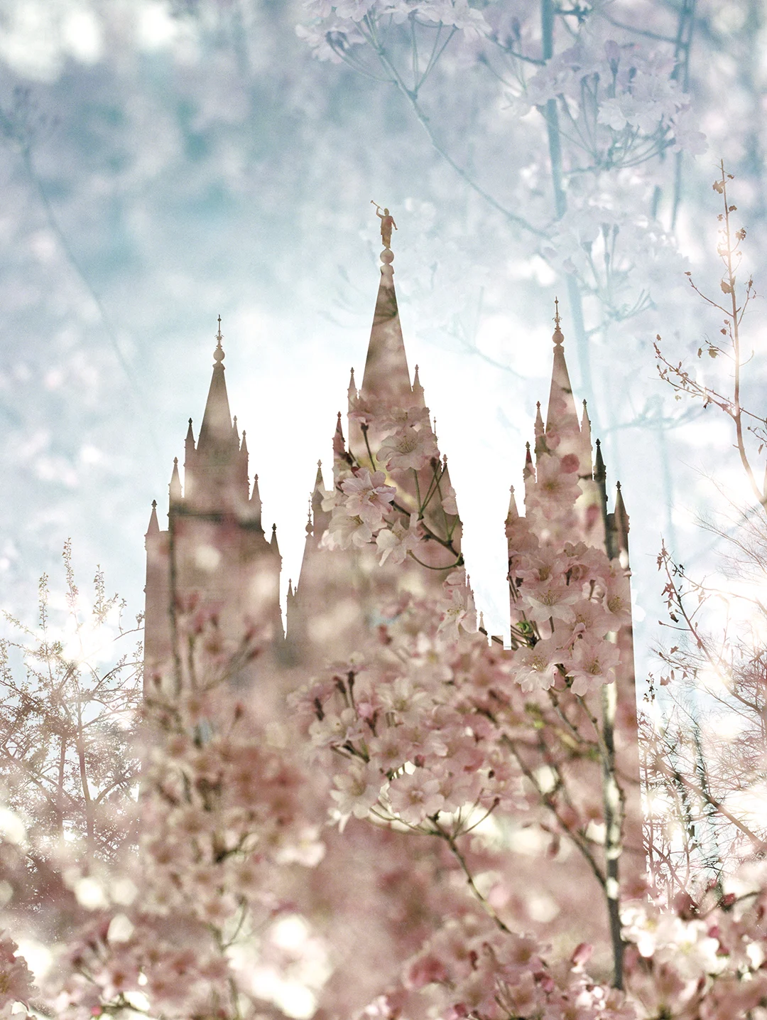 Salt Lake LDS Temple + Spring Blooms