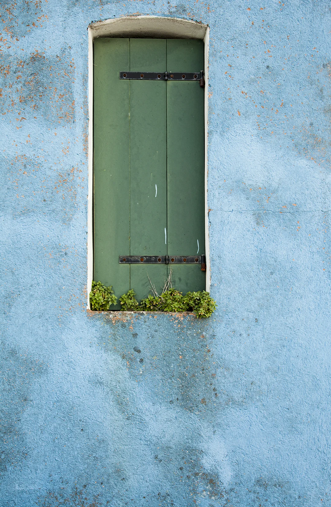 Green Window in Burano