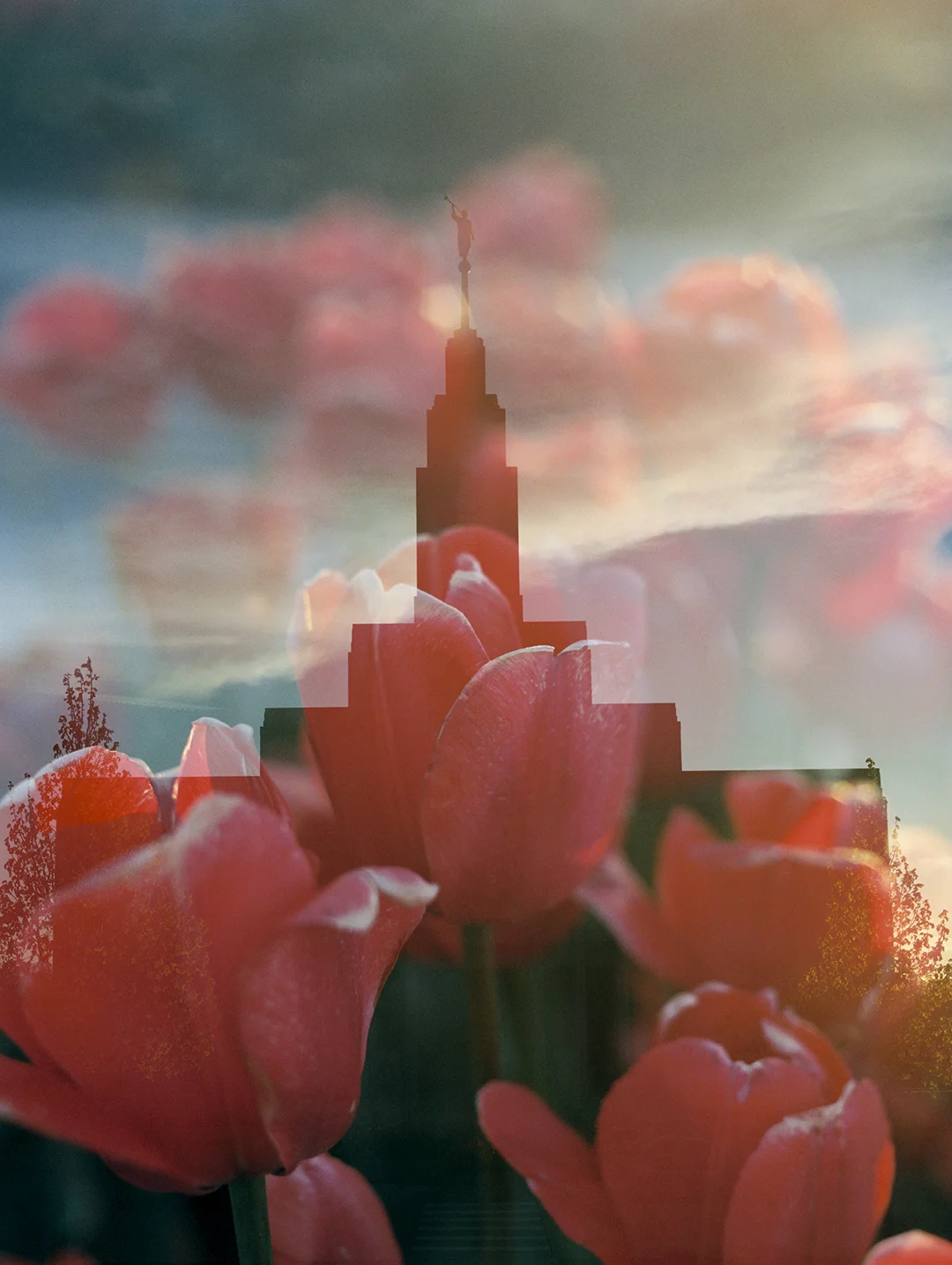 Draper LDS Temple + Red Tulips