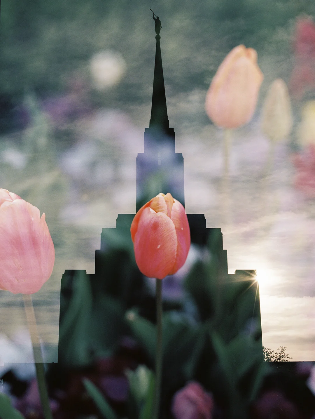 Oquirrh LDS Temple + Red Tulip
