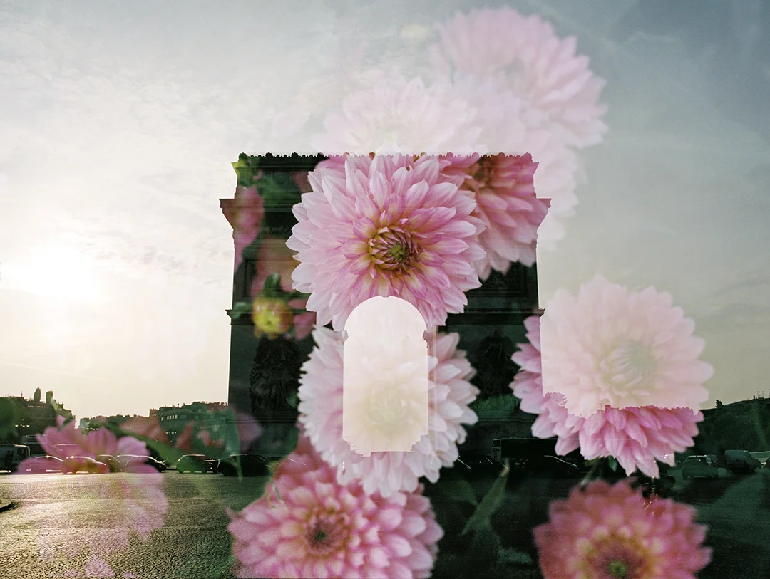 Arc de Triomphe + Dahlias