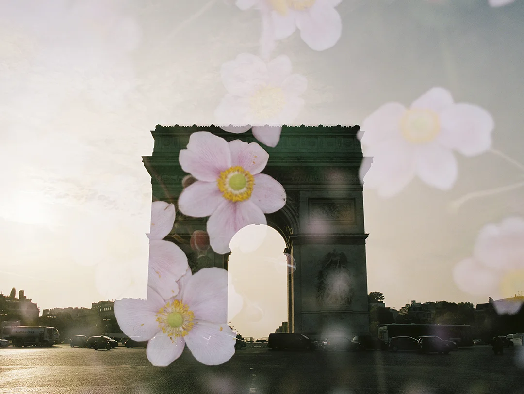 Arc de Triomphe + Japanese Anemone 2