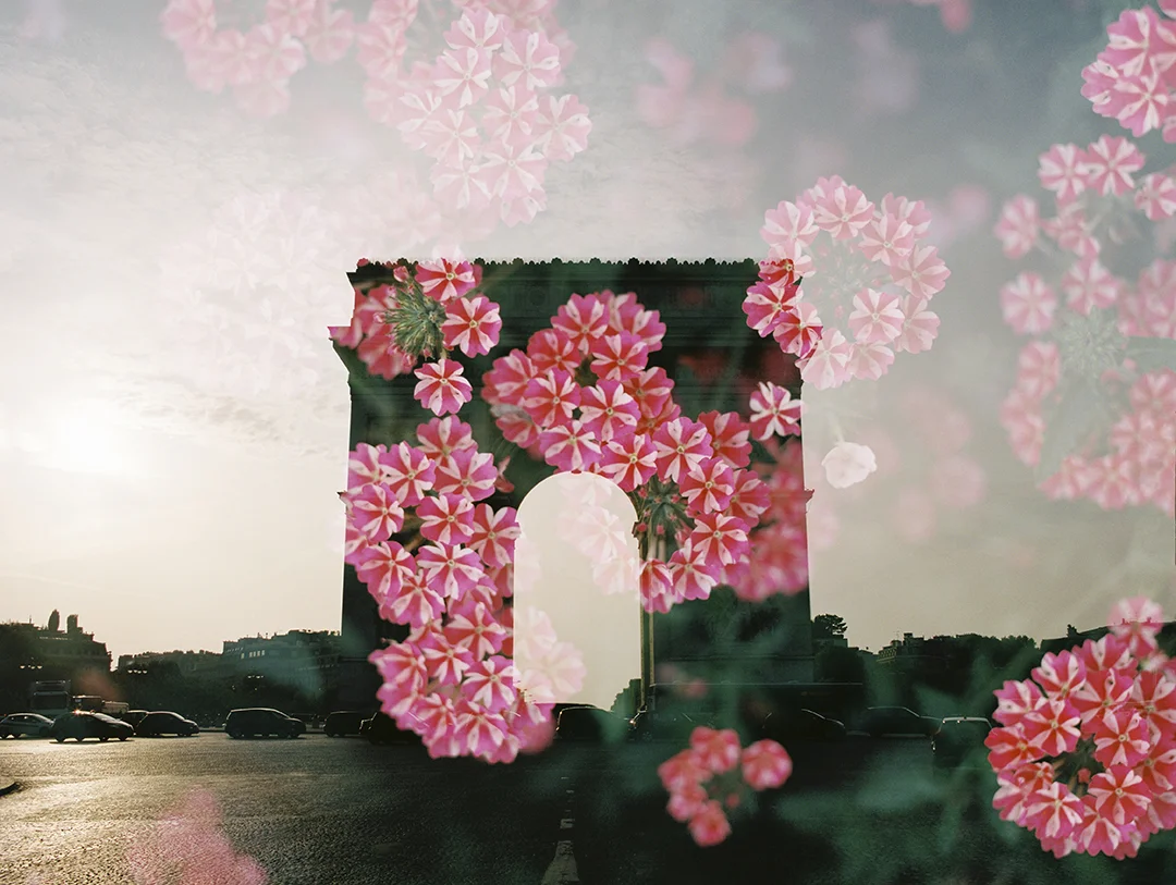 Arc de Triomphe + Phlox