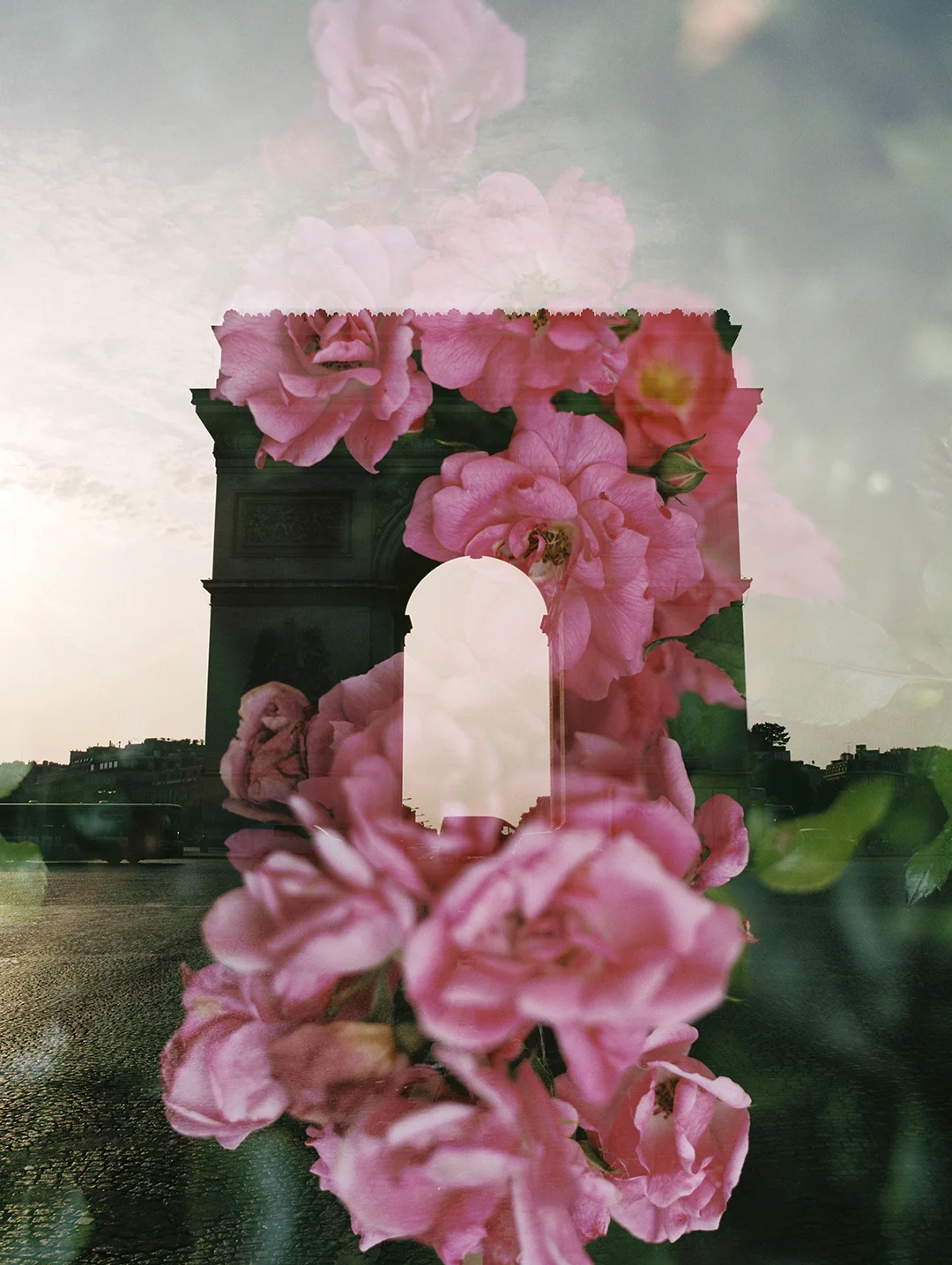 Arc de Triomphe + Pink Garden Roses