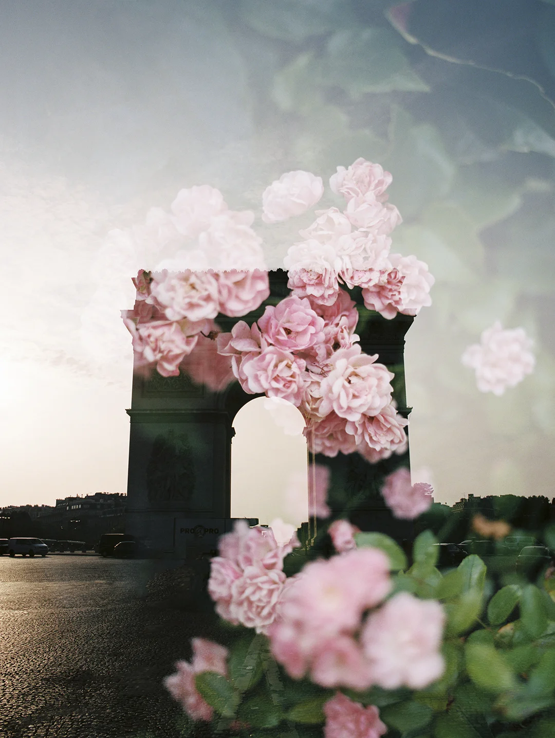 Arc de Triomphe + Roses