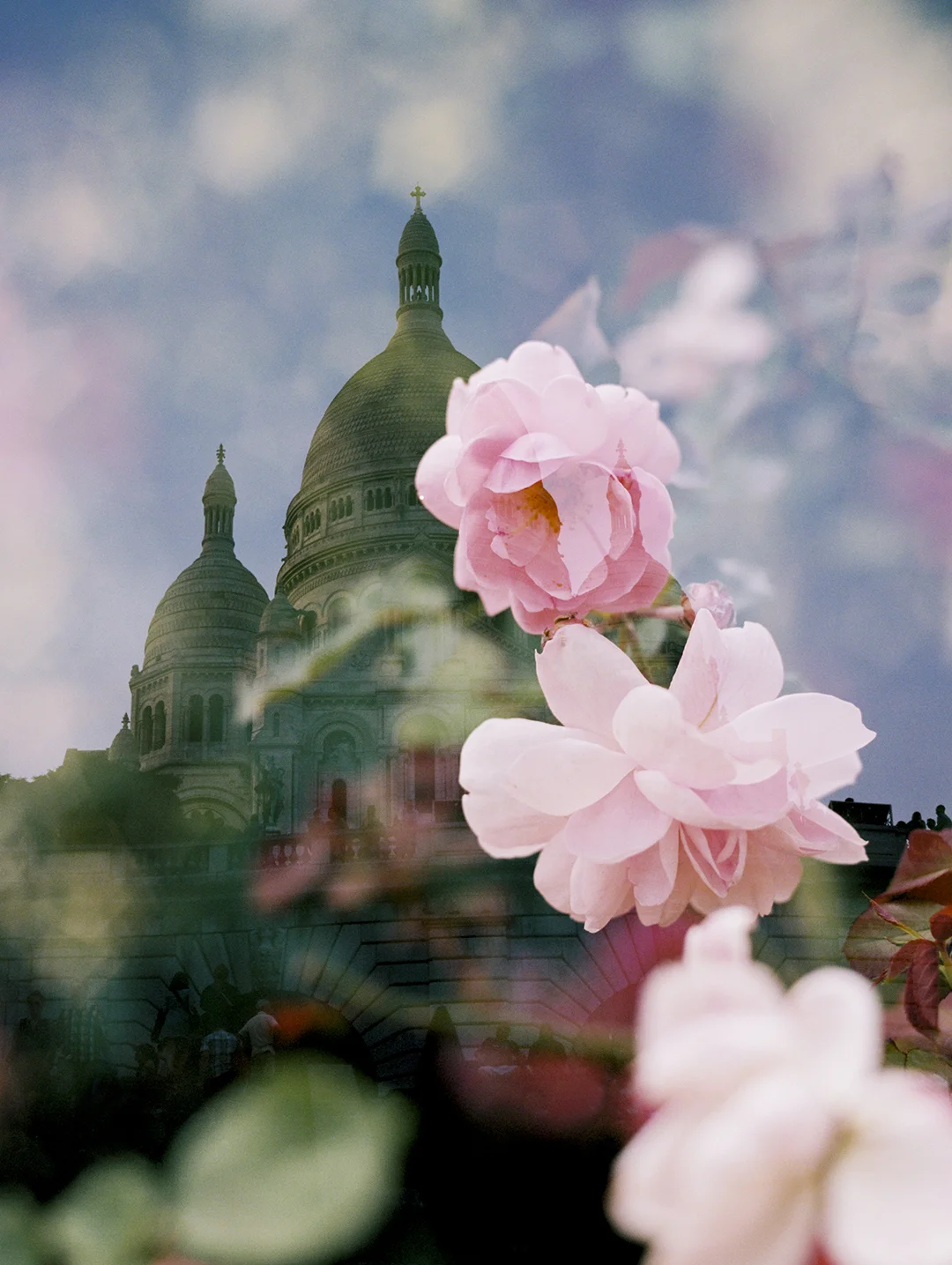 Sacre Coeur + Pink Roses