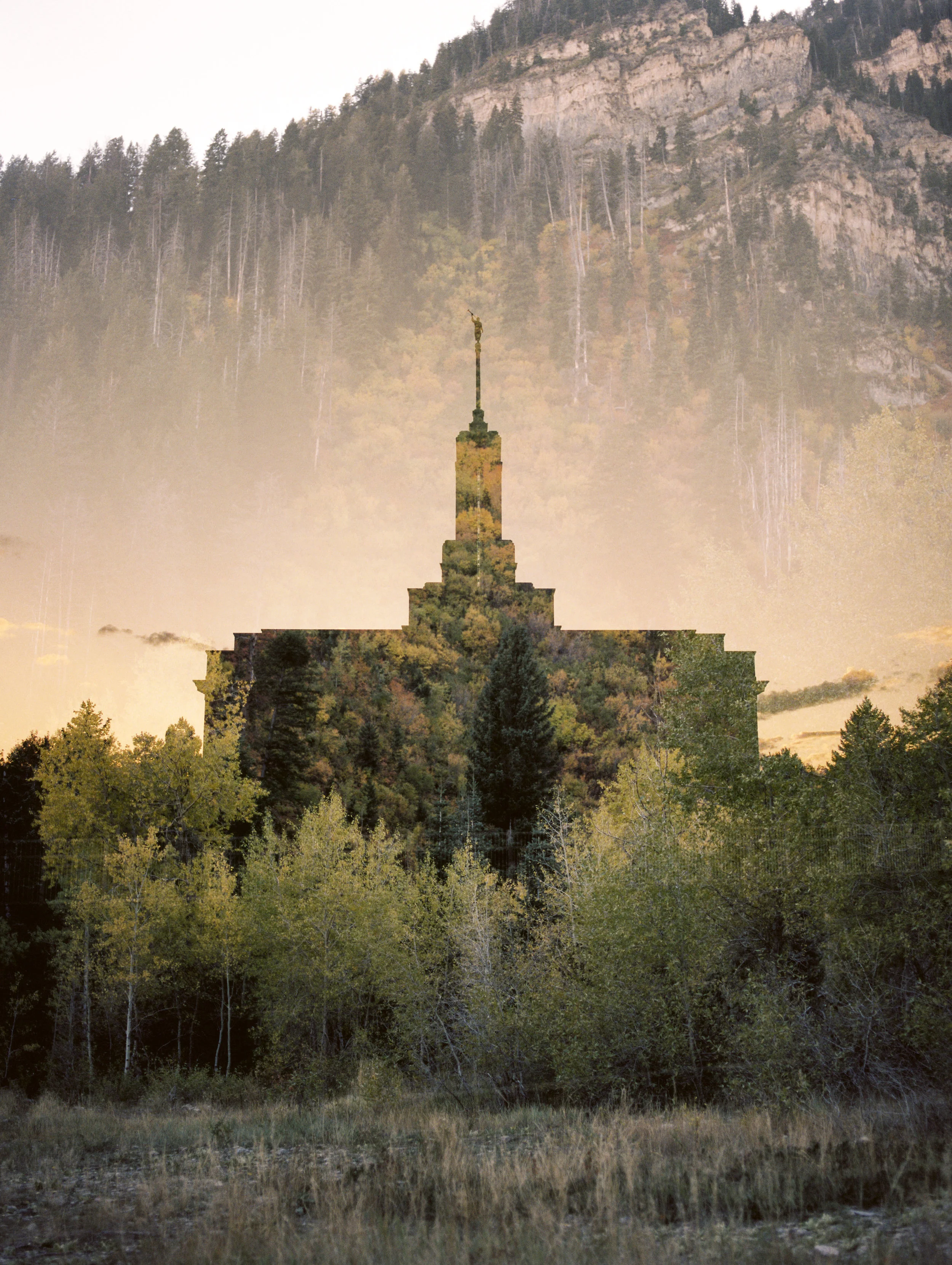 Timpanogos LDS Temple + Aspen Grove