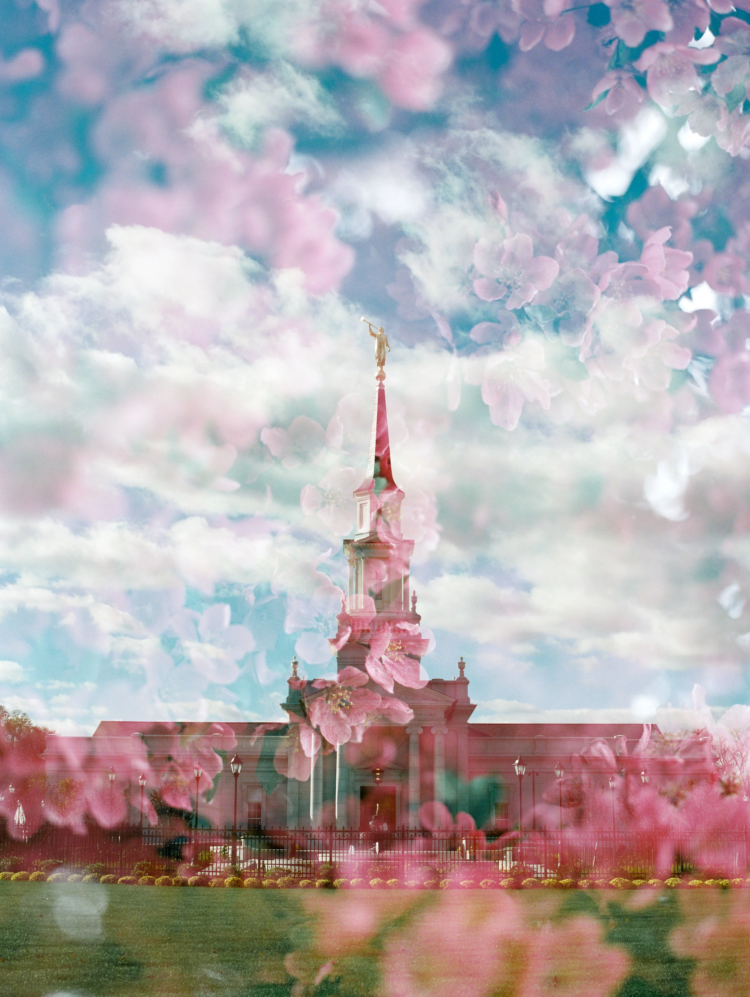 Connecticut LDS Temple + Blossoms