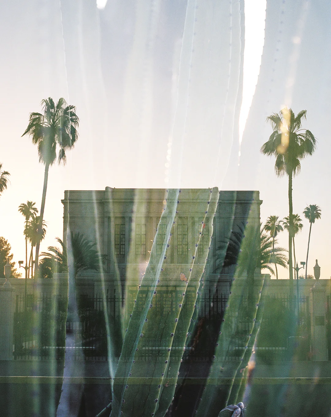Mesa LDS Temple + Cacti