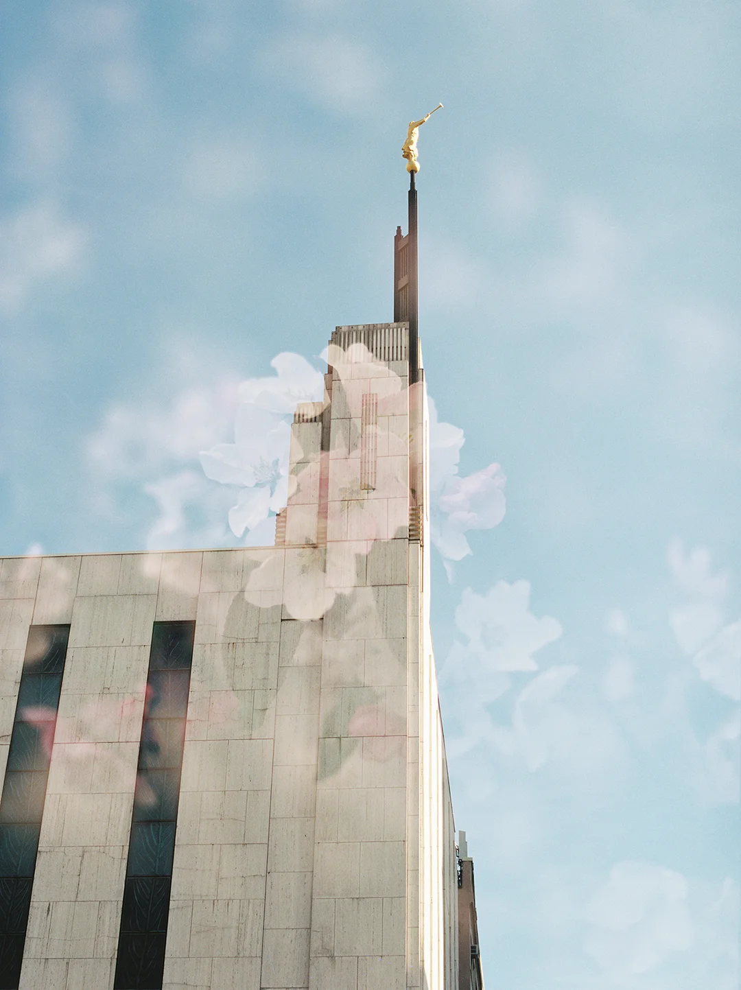 Manhattan LDS Temple + Cherry Blossoms