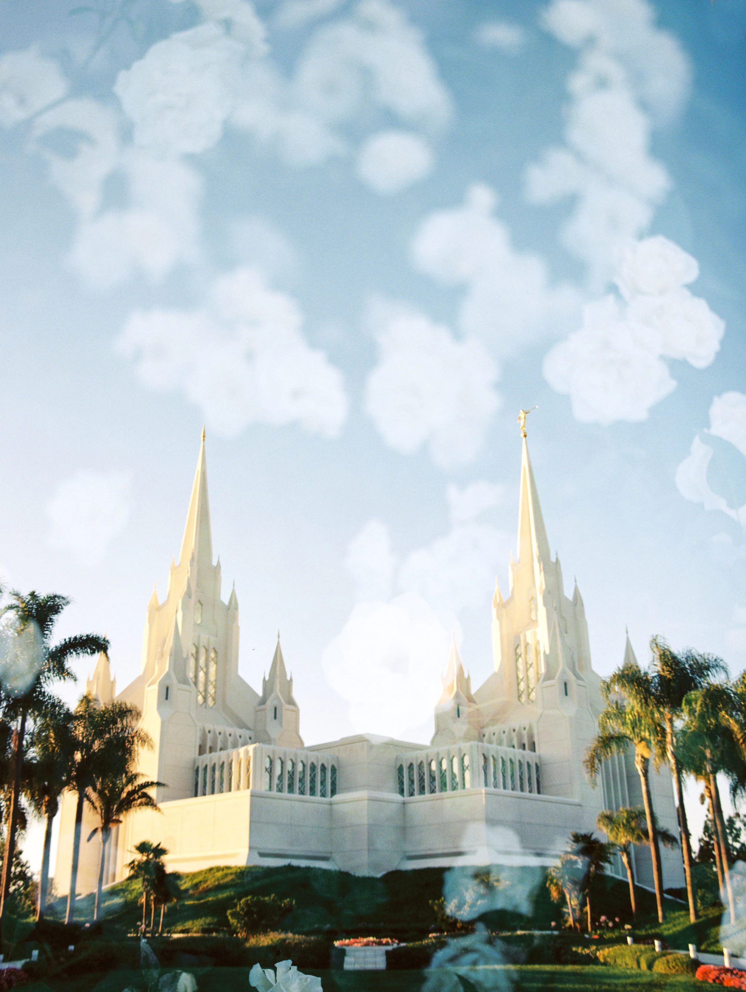 San Diego LDS Temple + Roses