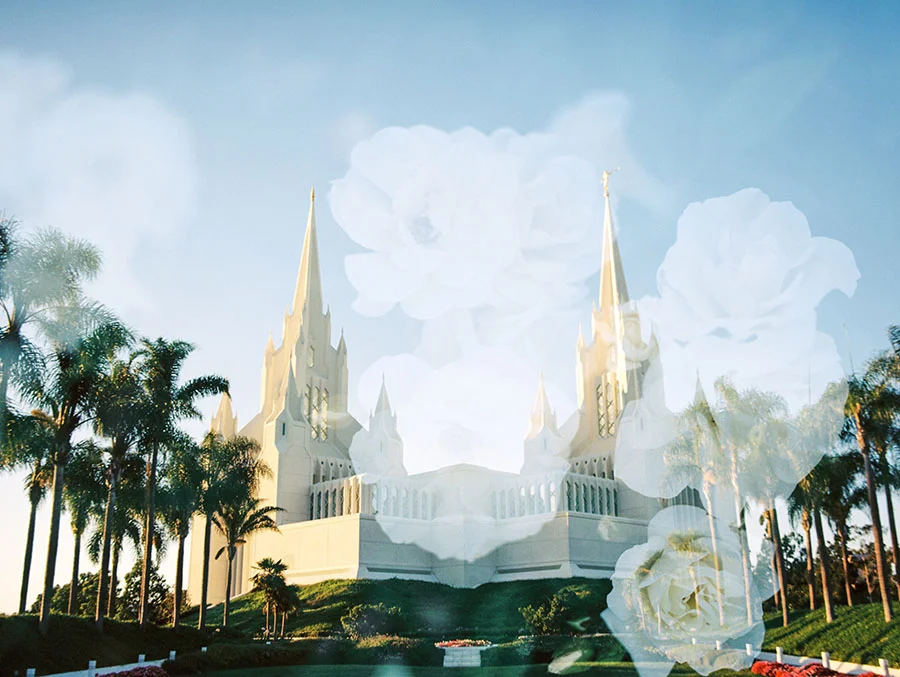 San Diego LDS Temple + White Roses