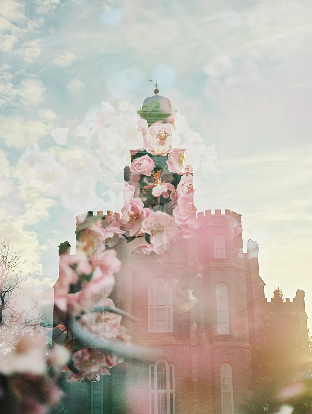 Logan LDS Temple + Crab Apple Blooms 2