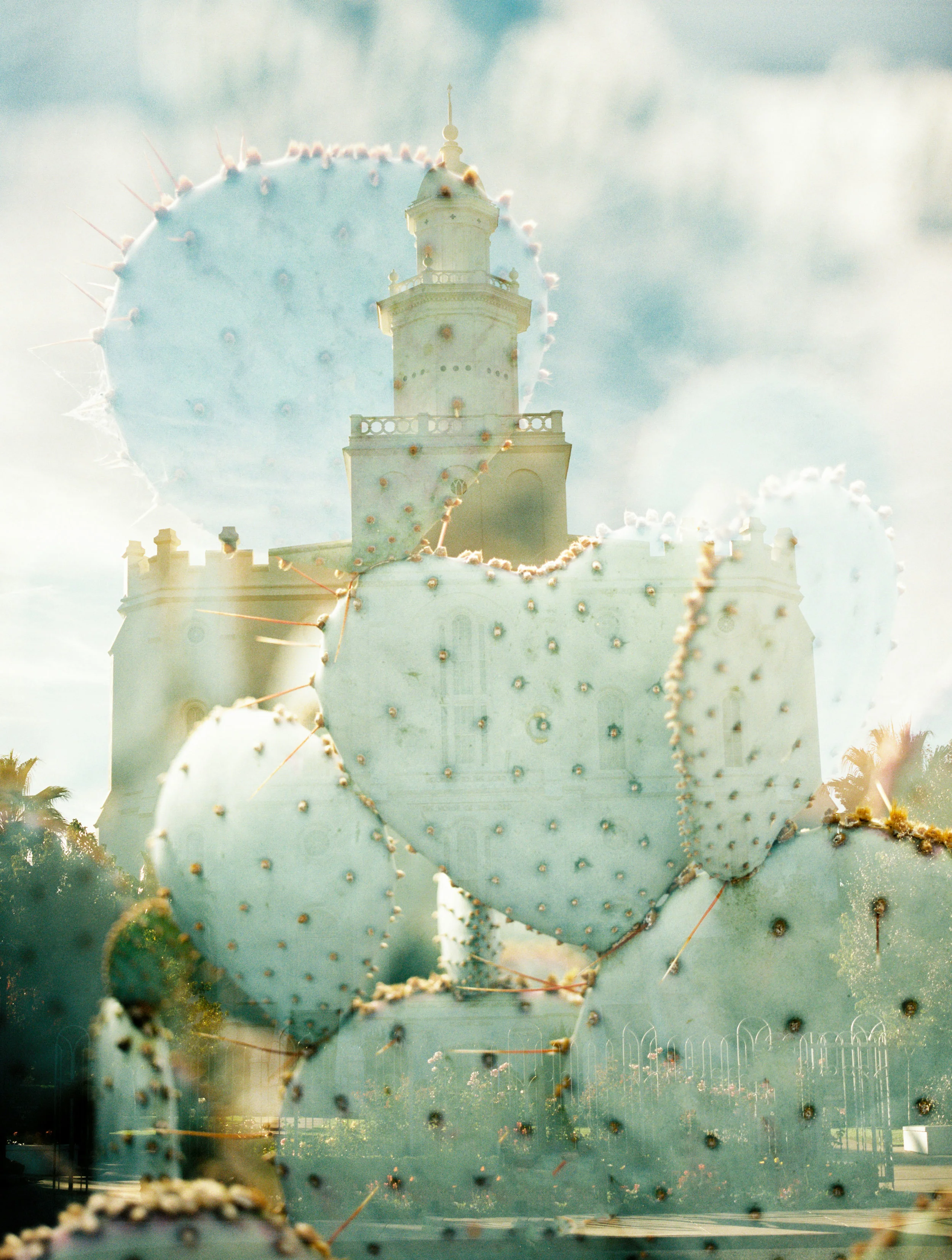 Saint George LDS Temple + Cacti 2