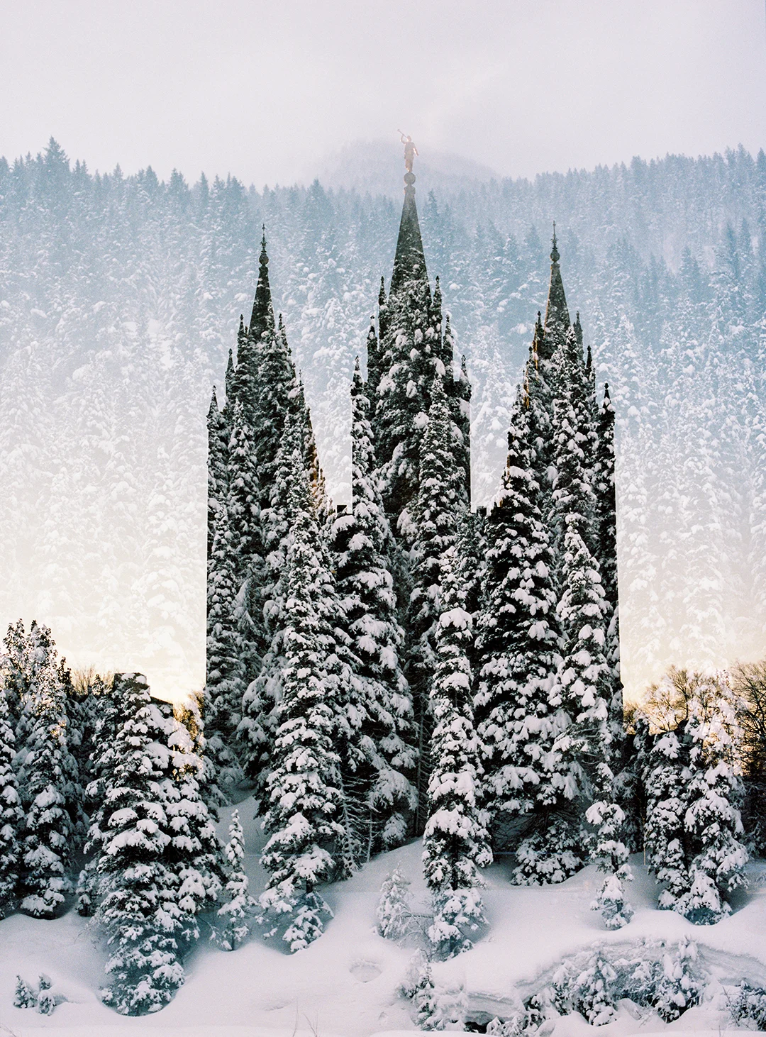 Salt Lake LDS Temple + Snowy Pines 1