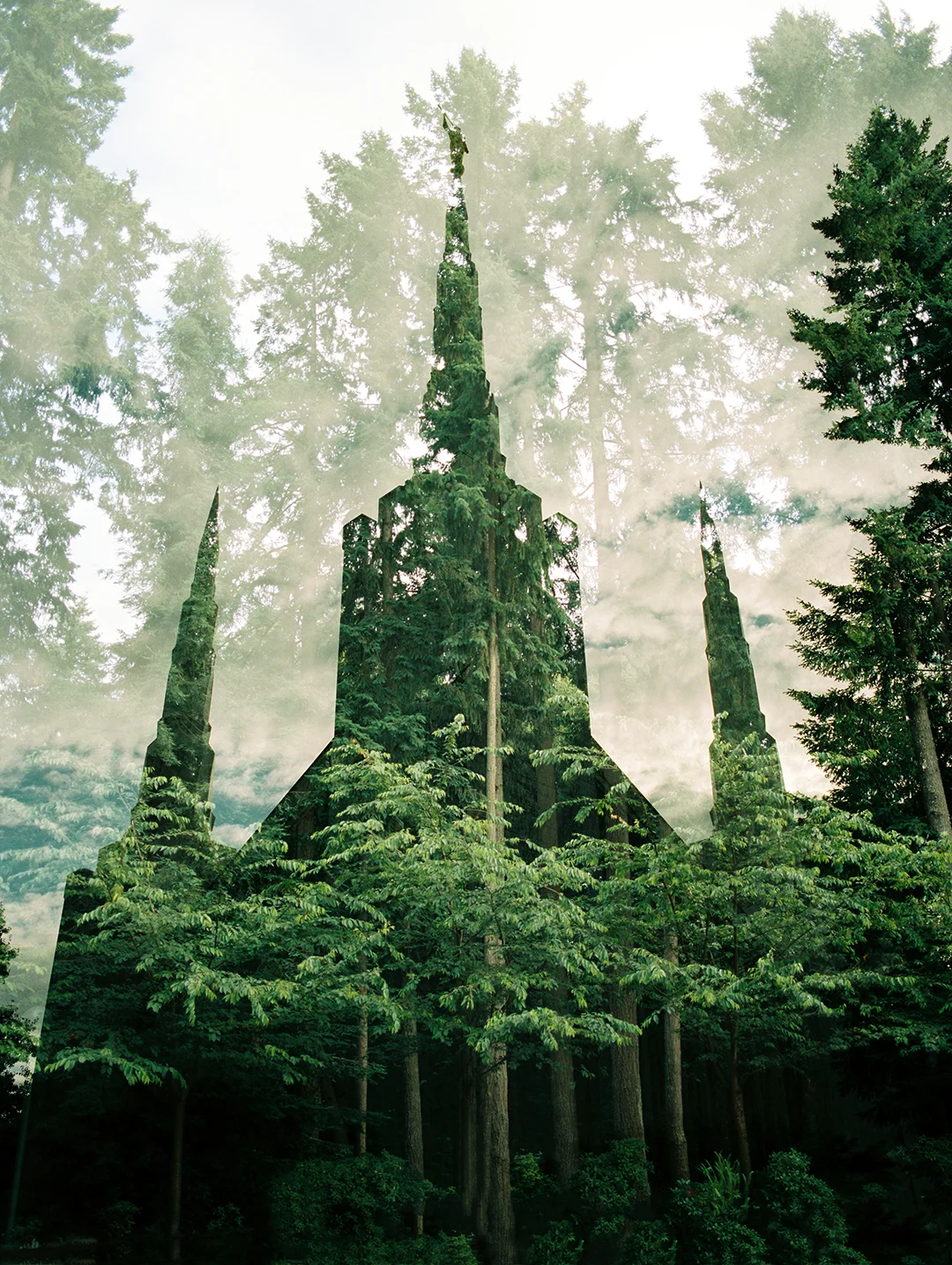 Portland LDS Temple + Evergreens 2
