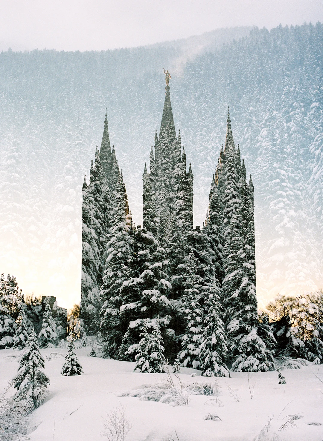 Salt Lake LDS Temple + Snowy Pines 2