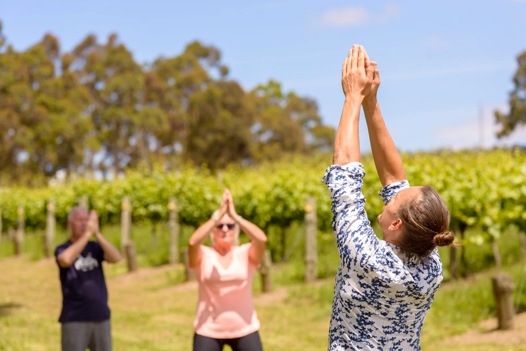 Ziran Qi Gong. Ancient Teachings - Modern Practice - <strong>Day 2 of 2</strong><br><br>Instructor Paul Dumais