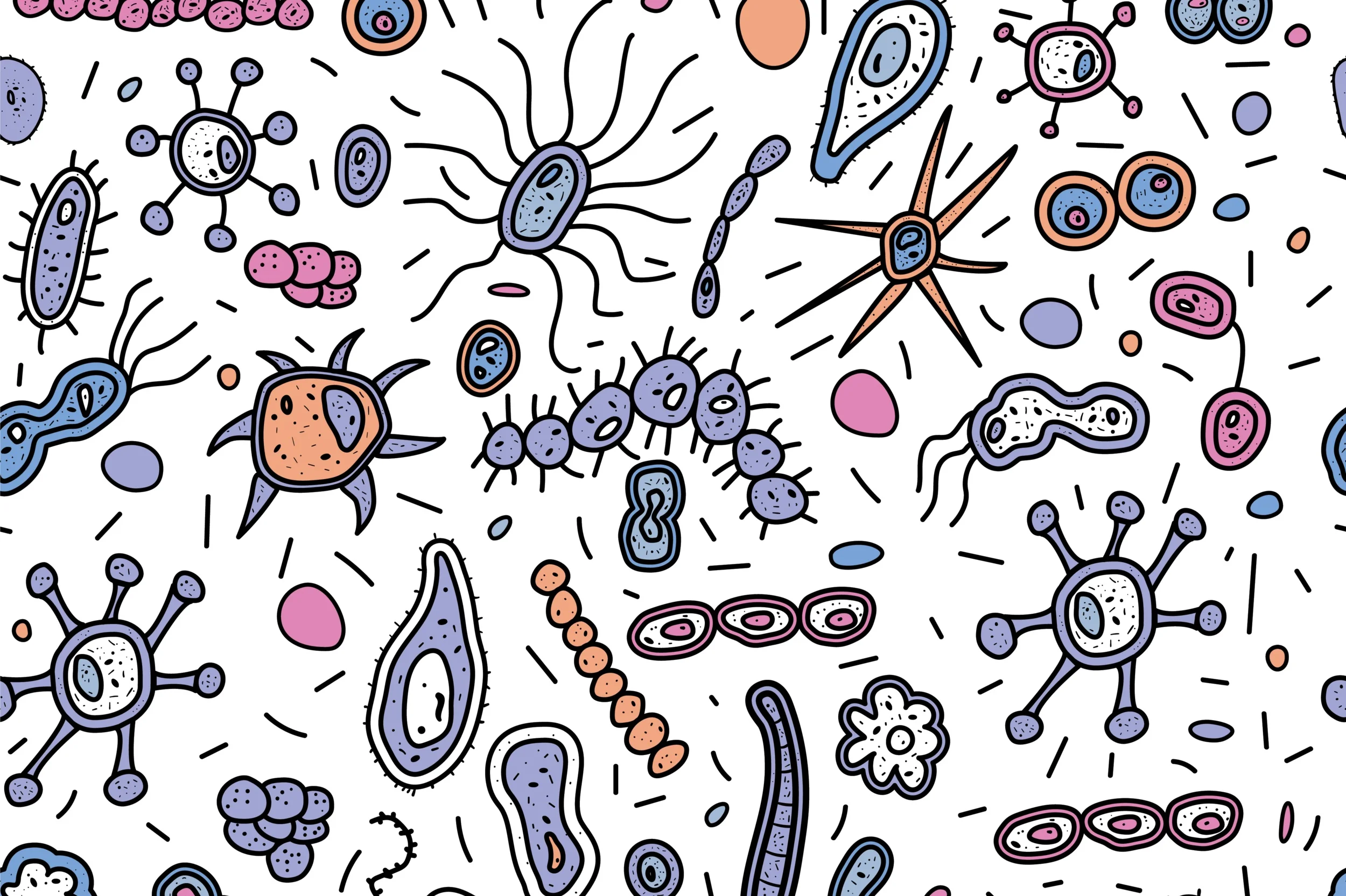 gutbacteria.jpg