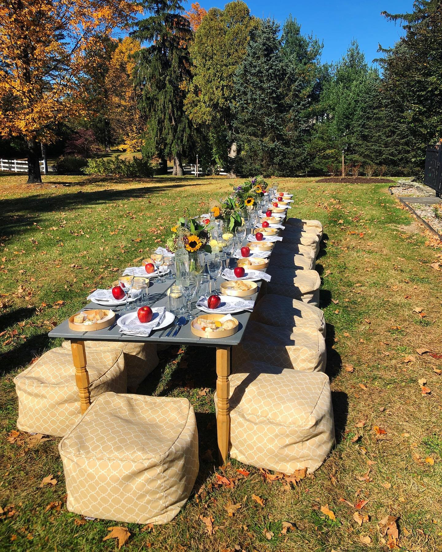 In reality I&rsquo;m stuck inside the whirling snow globe of 2020, but in spirit I&rsquo;m here in this perfectly innocent idyllic autumn day of 2019, touring wineries with @hvbucketlist (thanks to the best bday present ever from @gneumatic), eating 