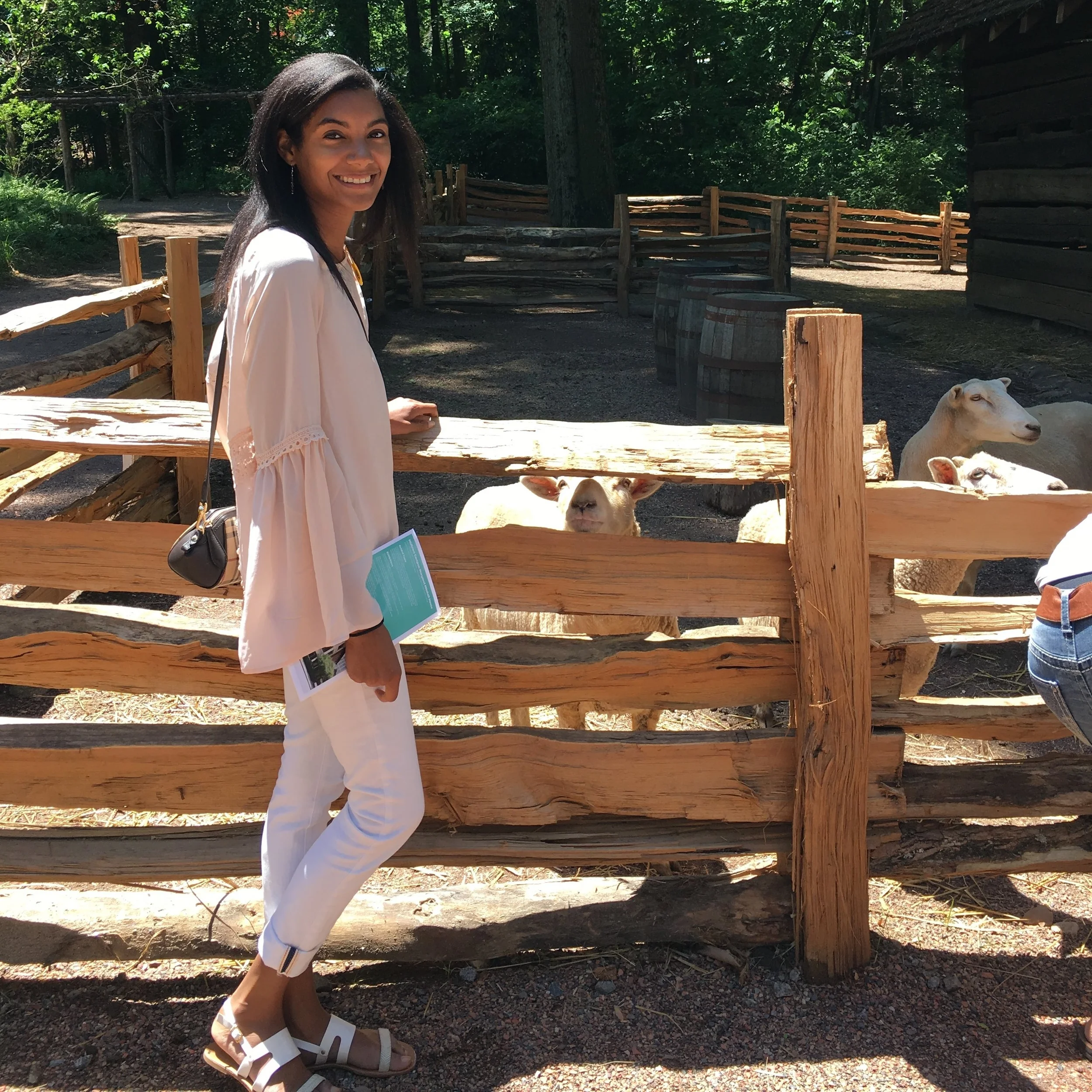 Feeding and petting the sheep, and goats at the Smith Family farm was so much fun. 