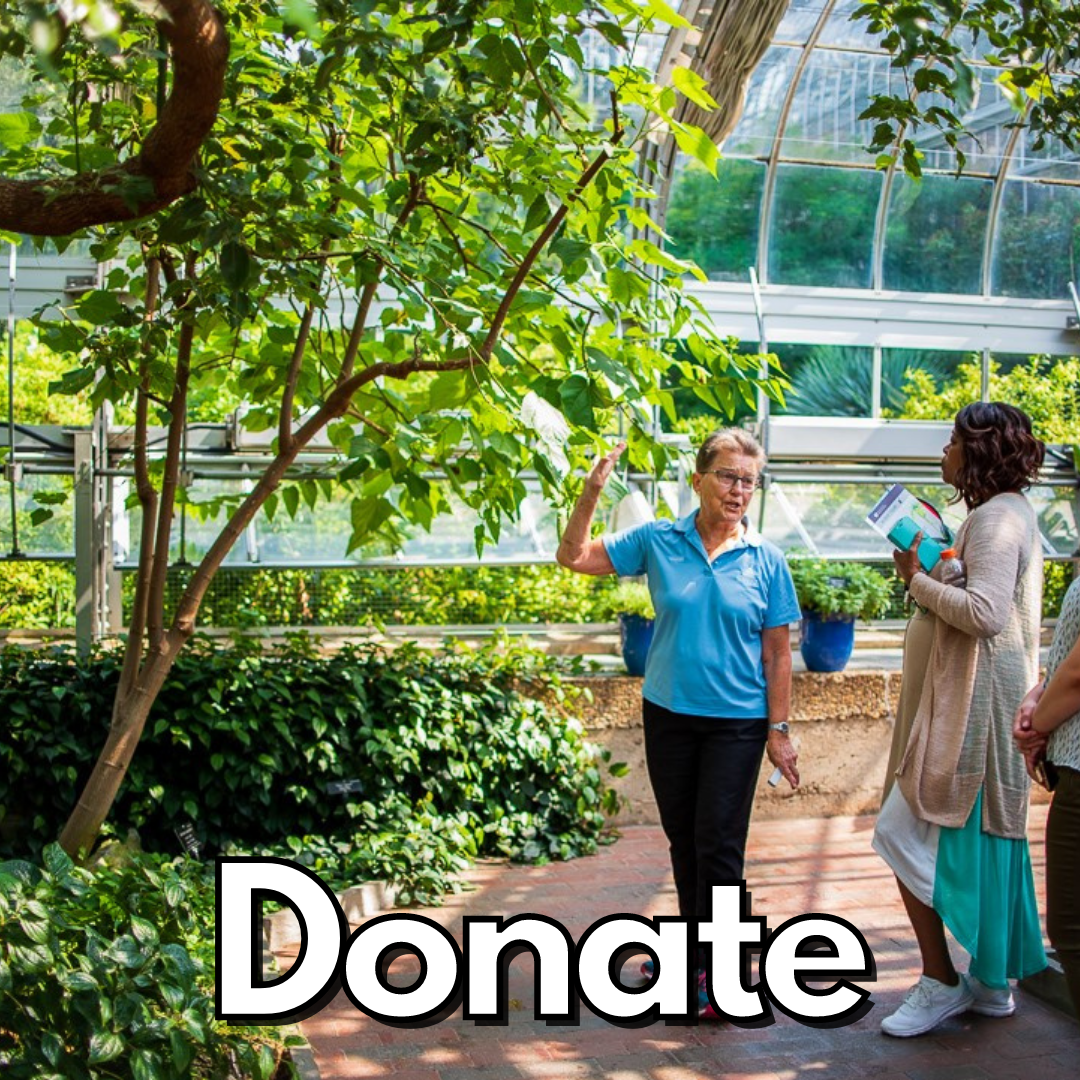 Botanic Friends Friends of the U.S. Botanic Garden