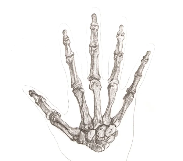 Sketches