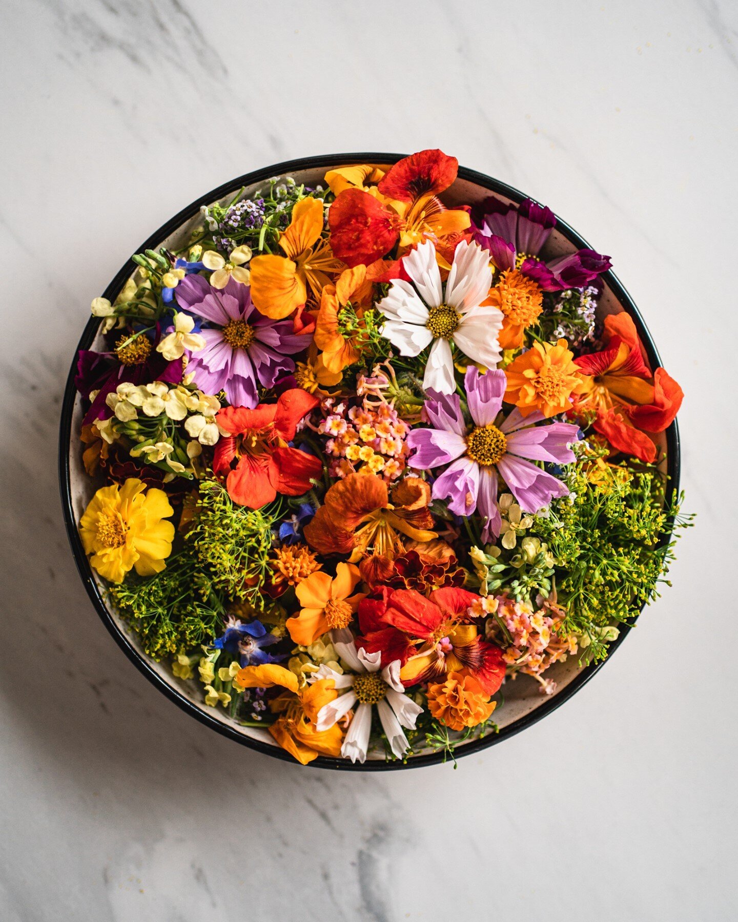 Learnt so so much about edible flowers from a recent shoot I did for @weeds_more! (Thanks Leisa for trusting me with your produce!) 🌼 Prior to this, out of the 10+ flowers in this bouquet, I've only tried one. 😅
 
Probably an impossible task unless