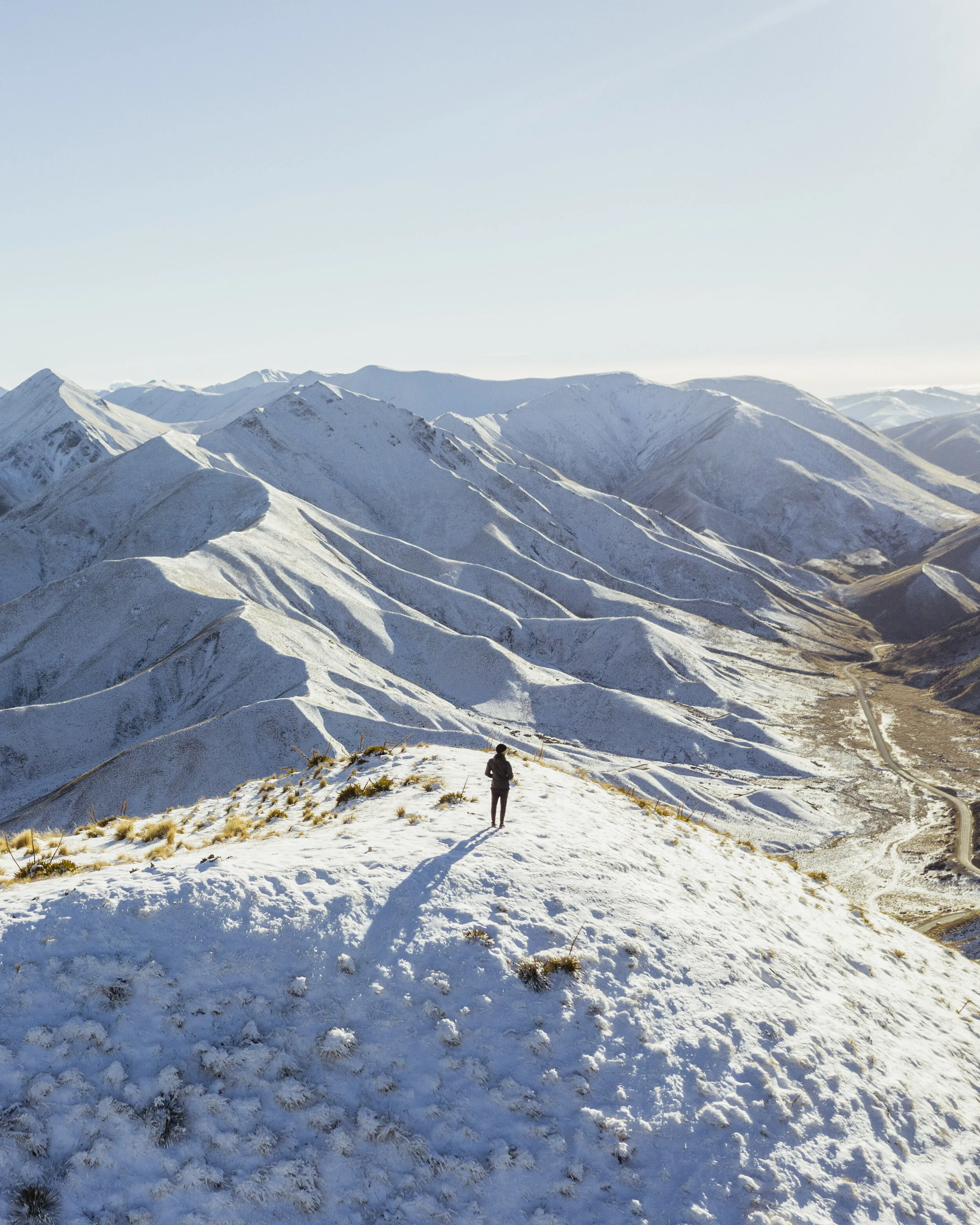 Hoiho - Wanaka Body-5.JPG