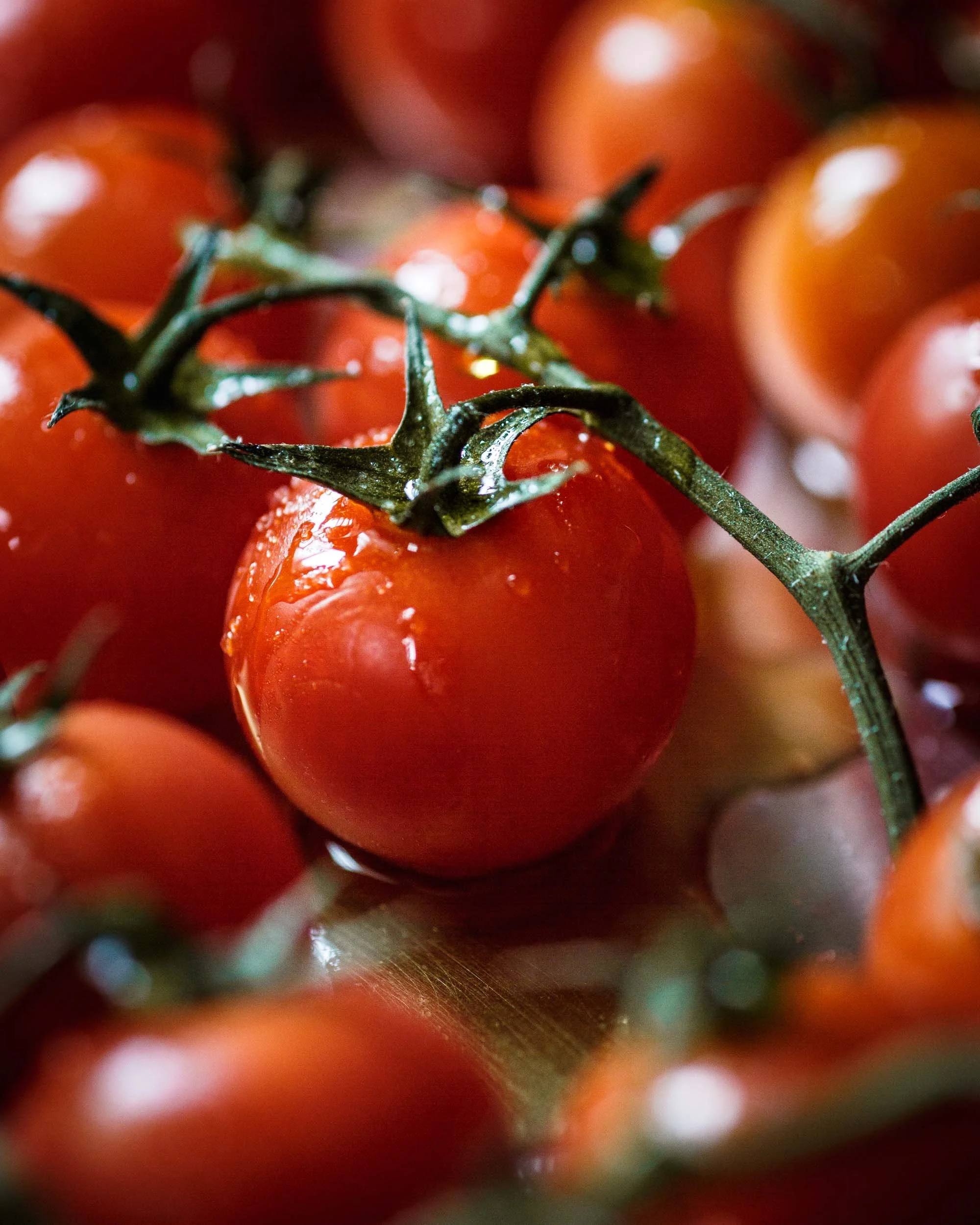  Commercial photo by Amy Carson, San Diego food photographer. Commercial food image of fresh vine-ripened tomatoes drizzled with olive oil. Commissioned by agricultural food product company. 