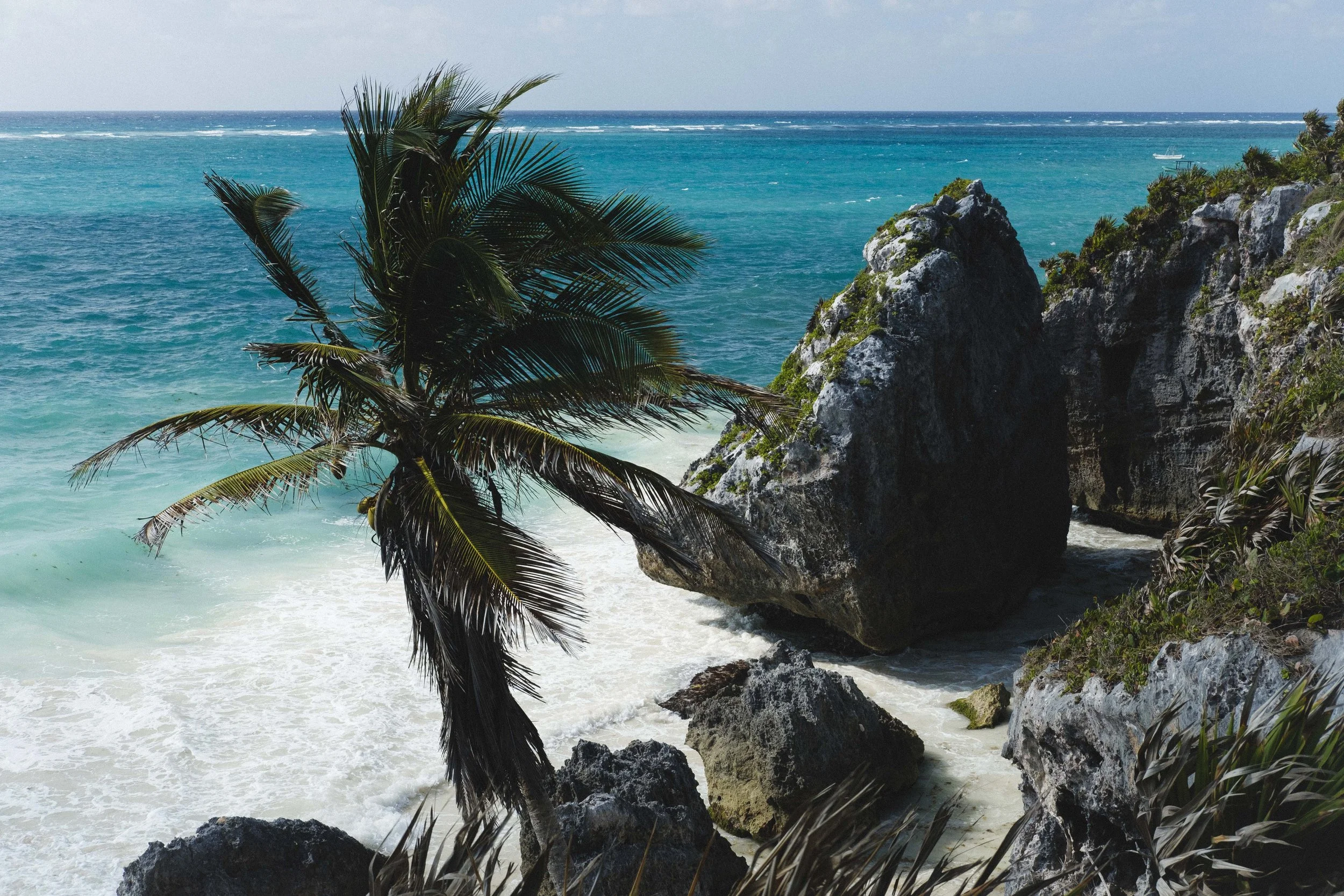 Commercial travel lifestyle photo of turquoise water and palm tree in Tulum, Mexico. Shot by San Diego based travel and lifestyle photographer Amy Carson. 