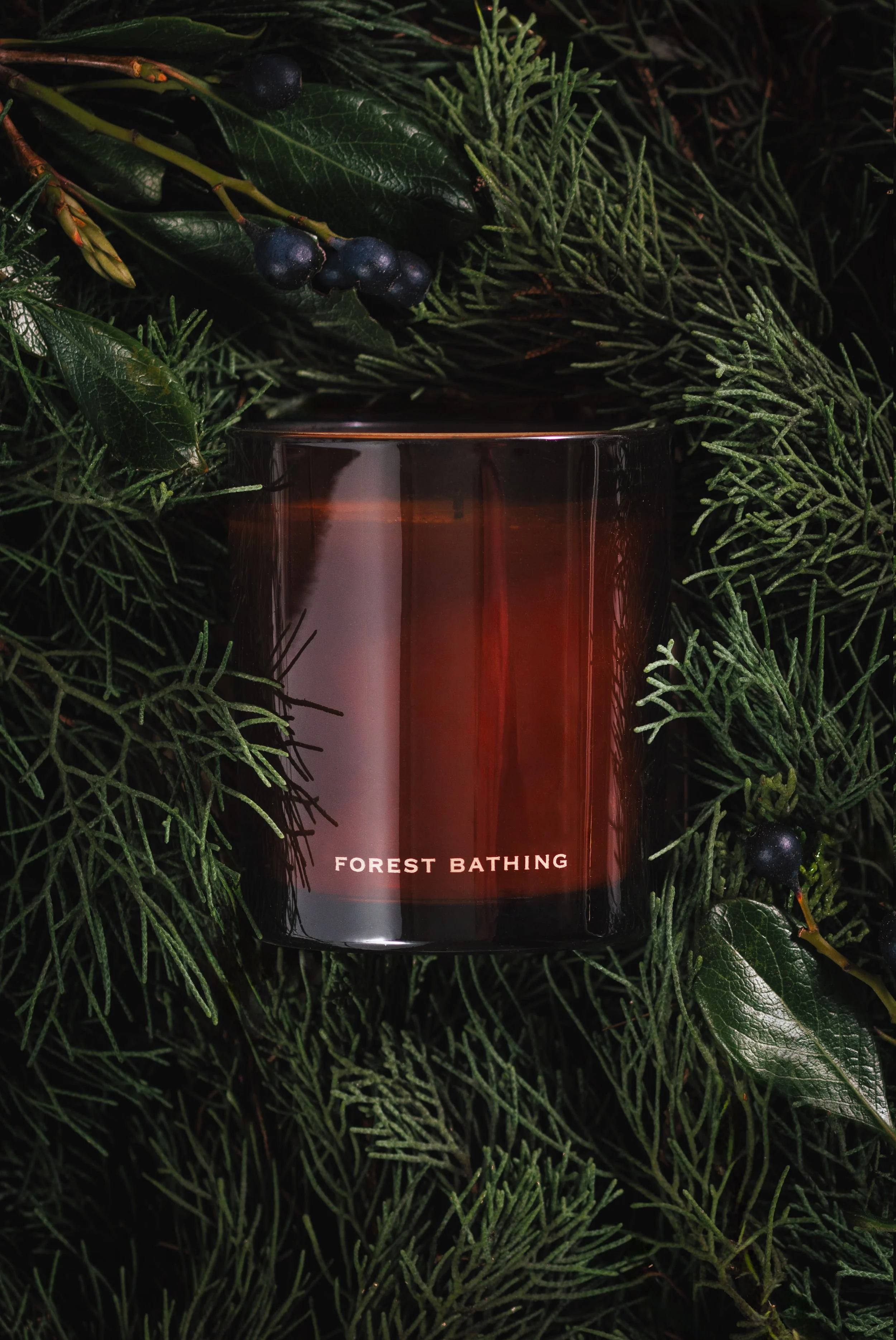 Commercial product photo of a candle against a forest backdrop. Shot in a moody, quiet luxury aesthetic.