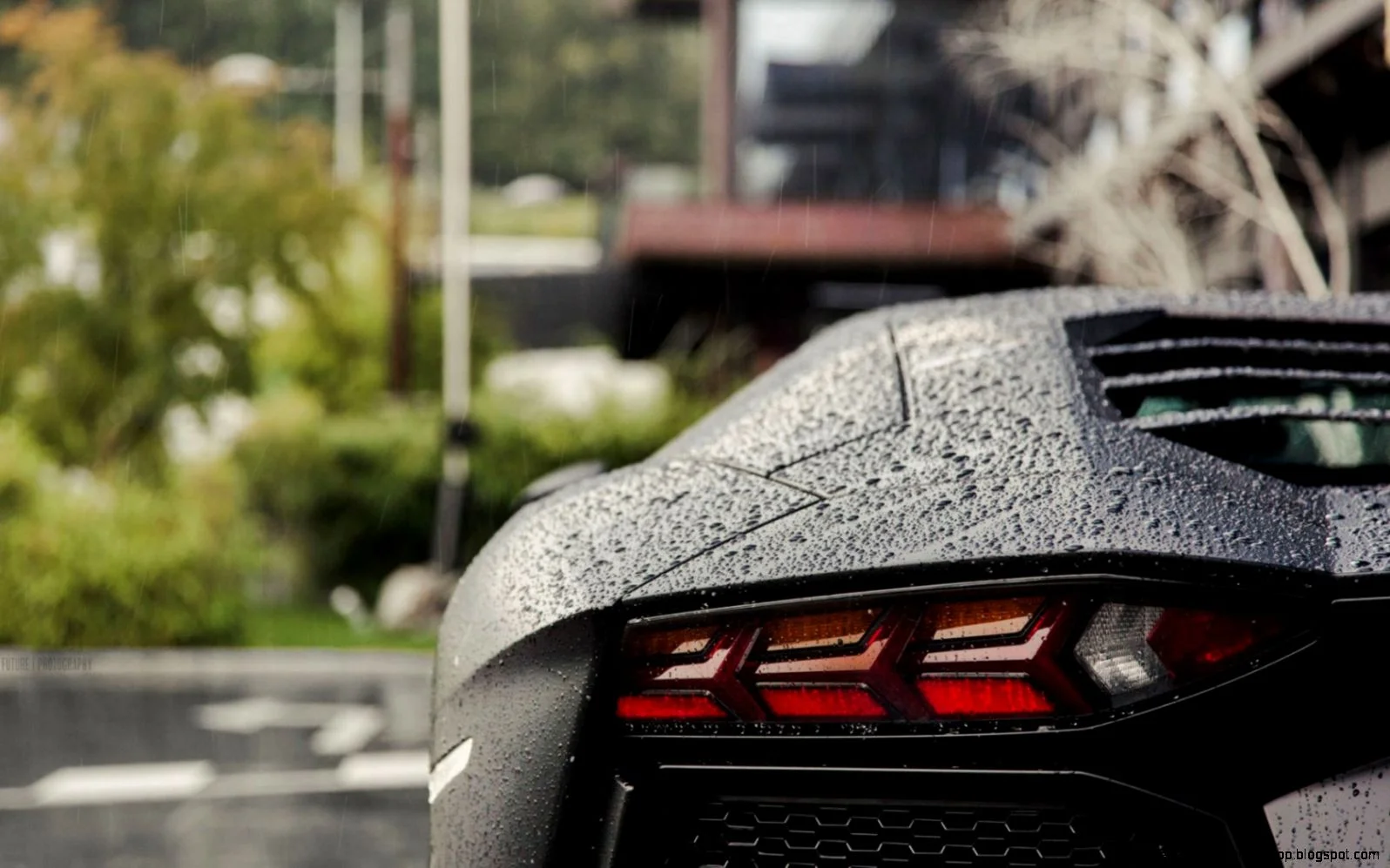 lambo.jpg
