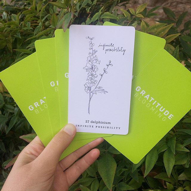 Today during our weekly online gratitude circle, I said to myself, “I’d really like to pull the Infinite Possibility card today.”...and then I did! I stared at it - feeling full of power and magic and in awe of the moment of such easeful manifestation. All it took was stating firmly my desire and putting heart-centered intention into it. .
.
The message I got from the flower was that I need to just sit with the uncertainties ahead of me, and fully believe that the possibilities will emerge. Feeling comforted by my card, the support of the other souls who shared at the gratitude circle, and all the exciting possibilities ahead! (💚Melissa) .
.
#delphinium #infinitepossibilities #gratitudeblooming #attitudeofgratitude #mindfulmoments #manifesting #believinginyourself #natureinspiration #plantwisdom #oracledeck #natureart #sfartist #communitysupport #saturdaymood