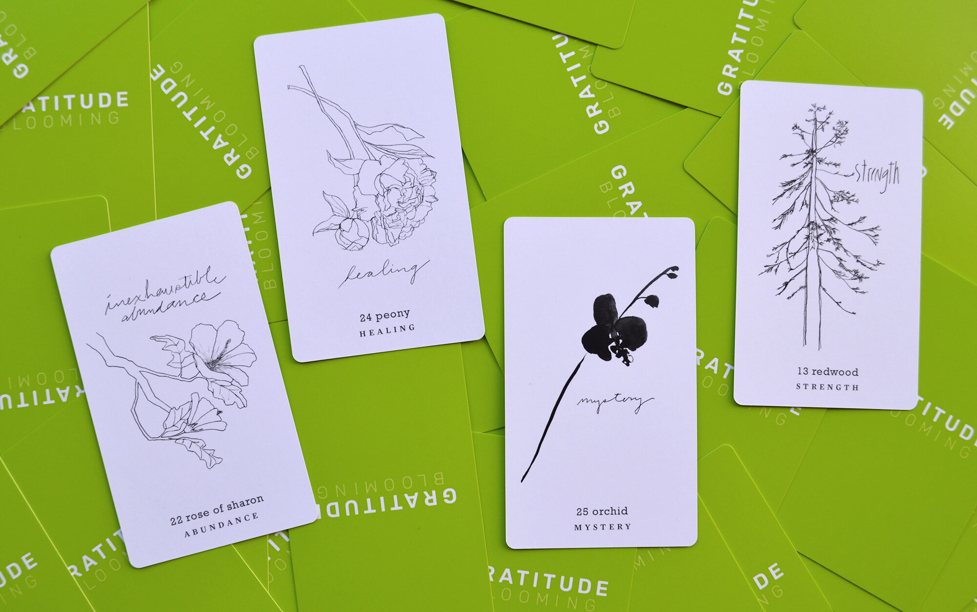 12-Gratitude-Blooming-Card-Deck.jpg