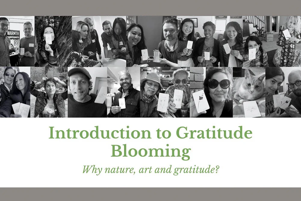 Intro-Gratitude Blooming.jpg