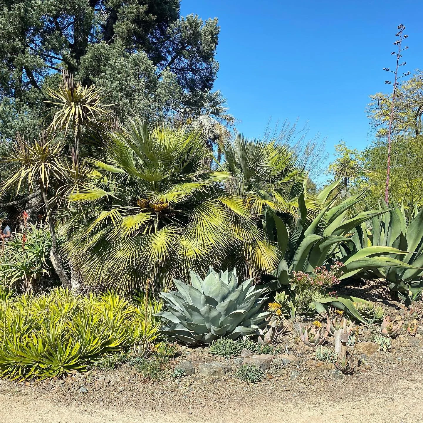 ✨Practice of the Week: Being with Discomfort✨
&nbsp;
This weekend, find a comfortable spot (indoors or in nature) and take a few deep breaths to get connected to your body.
✨Invite in new, fresh energy as you breathe in, and feel a release as you bre