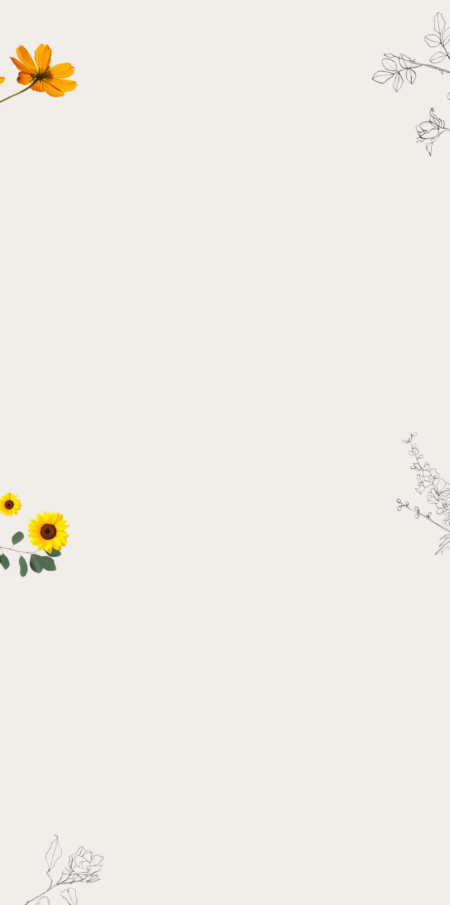 background.jpg